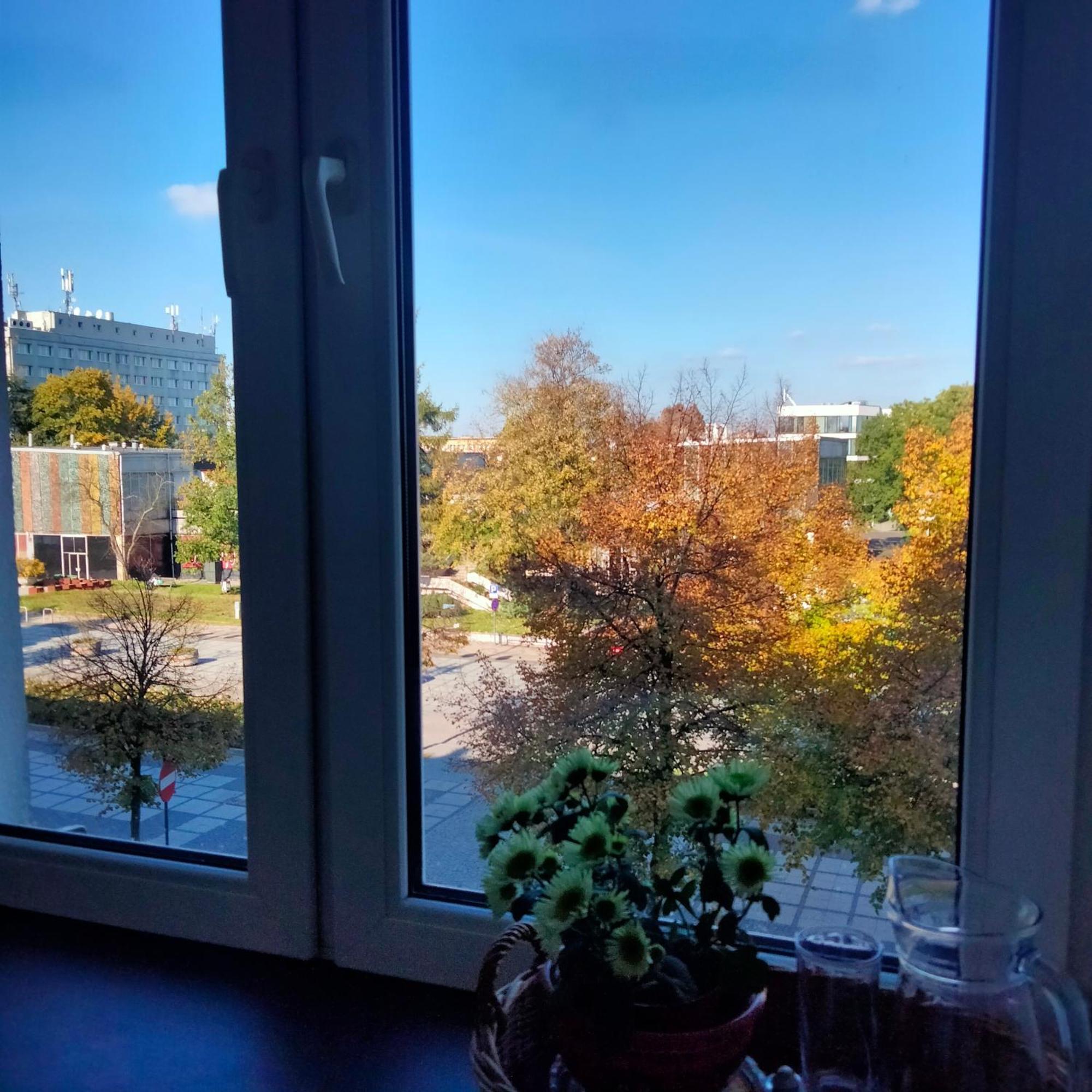 Apartment Aleja N.m.p 73 *